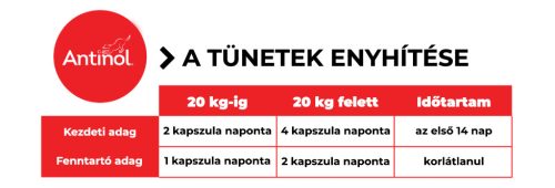  Antinol ® komplex porcvédő ,  ízületvédő zöldkagyló kutyáknak  3 x 60 db 