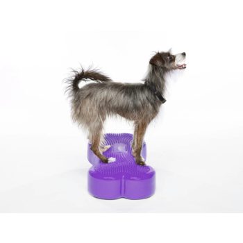 FitPAWS ® K9 Fitbone  lila