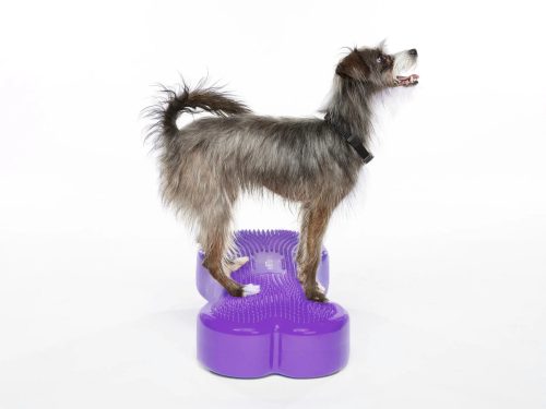 FitPAWS ® K9 Fitbone  lila