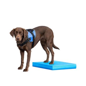 FitPAWS ® Balance Pad egyensúlyozó párna kutyáknak