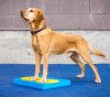 FitPAWS ® Balance Pad