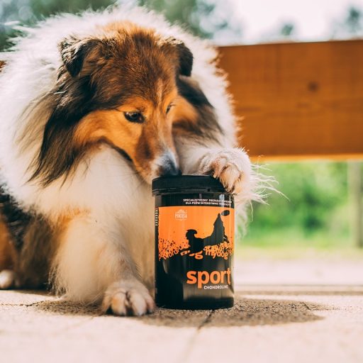 Pokusa ChondroLine Sport ízületvédő cápaporccal  350 g 
