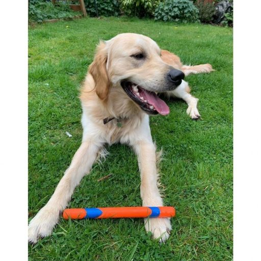 Chuckit! eldobható  Fetch Stick , bot helyett