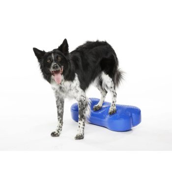 FitPAWS ® K9 Fitbone kék