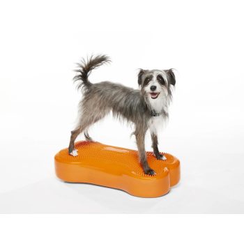 FitPAWS K9 Fitbone narancs