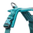 Non-stop Line 5.0 hám TEAL  6  Non- stop dogwear