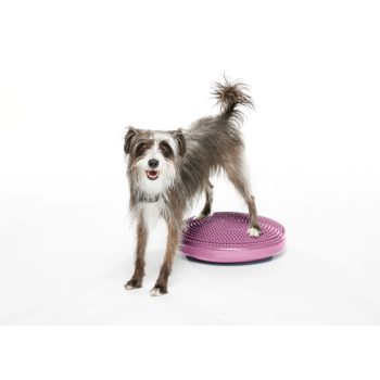   FitPAWS ® egyensúlyozó párna - balance disc  magenta 36 cm 