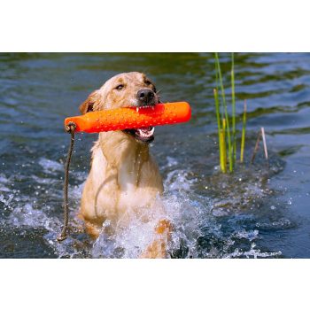 Eldobható játékok apportírozáshoz 