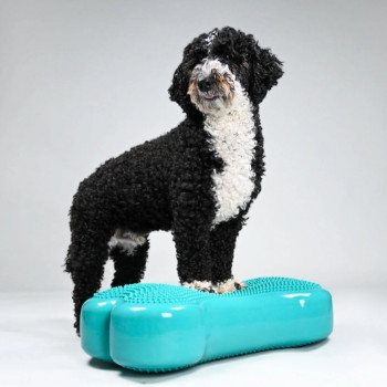 Fizioterápiás eszközök 