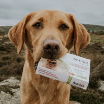 ANTINOL